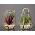 Vente chaude de terrarium en verre pour plantes d&#39;intérieur géométriques